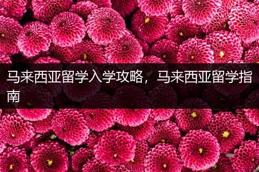 马来西亚留学入学攻略，马来西亚留学指南