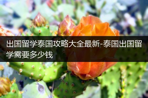 出国留学泰国攻略大全最新-泰国出国留学需要多少钱