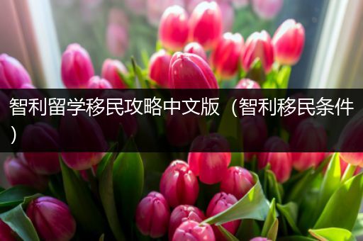 智利留学移民攻略中文版（智利移民条件）