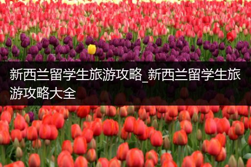 新西兰留学生旅游攻略_新西兰留学生旅游攻略大全
