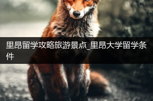 里昂留学攻略旅游景点_里昂大学留学条件