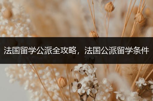 法国留学公派全攻略，法国公派留学条件
