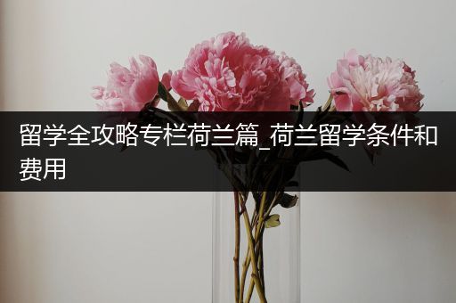 留学全攻略专栏荷兰篇_荷兰留学条件和费用