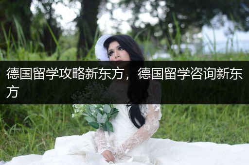 德国留学攻略新东方，德国留学咨询新东方