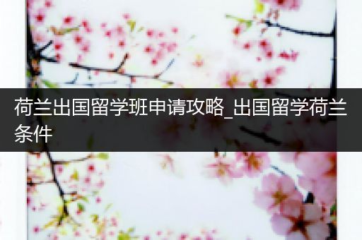 荷兰出国留学班申请攻略_出国留学荷兰条件