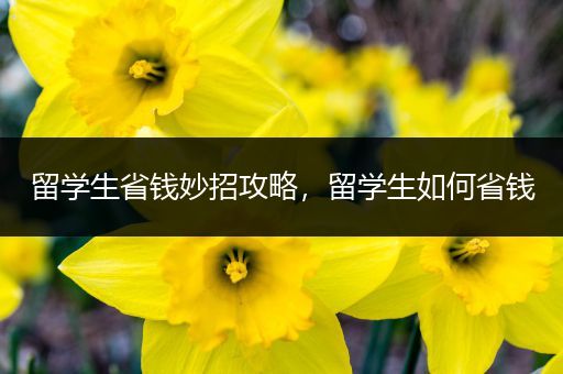 留学生省钱妙招攻略，留学生如何省钱