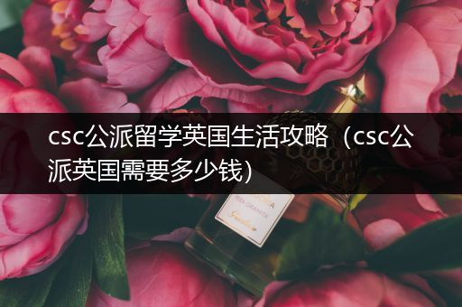 csc公派留学英国生活攻略（csc公派英国需要多少钱）
