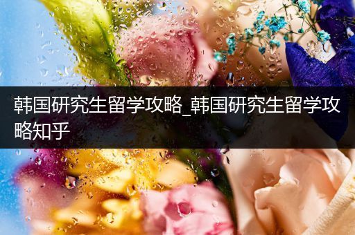 韩国研究生留学攻略_韩国研究生留学攻略知乎