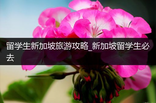 留学生新加坡旅游攻略_新加坡留学生必去