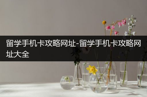 留学手机卡攻略网址-留学手机卡攻略网址大全