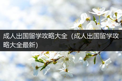 成人出国留学攻略大全（成人出国留学攻略大全最新）