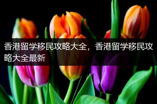 香港留学移民攻略大全，香港留学移民攻略大全最新