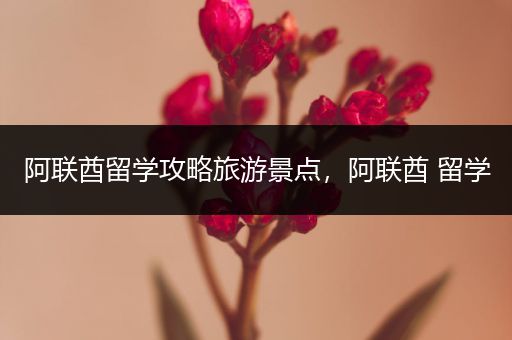 阿联酋留学攻略旅游景点，阿联酋 留学