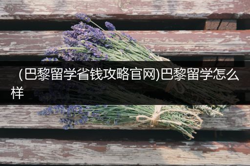 （巴黎留学省钱攻略官网)巴黎留学怎么样