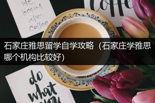 石家庄雅思留学自学攻略（石家庄学雅思哪个机构比较好）