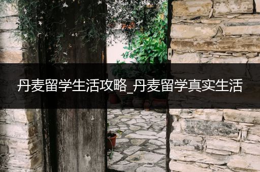 丹麦留学生活攻略_丹麦留学真实生活