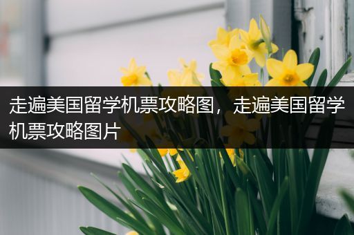 走遍美国留学机票攻略图，走遍美国留学机票攻略图片