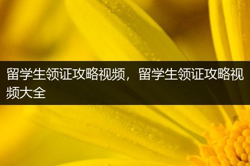 留学生领证攻略视频，留学生领证攻略视频大全