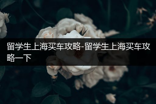 留学生上海买车攻略-留学生上海买车攻略一下