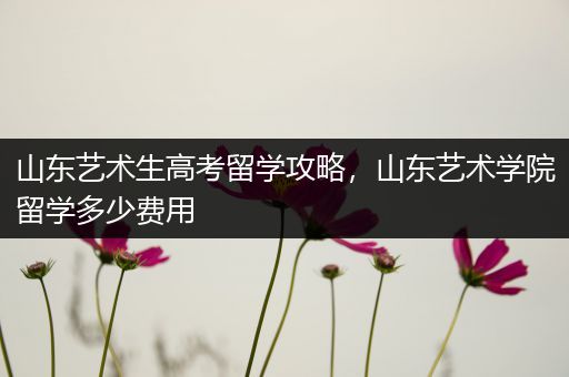 山东艺术生高考留学攻略，山东艺术学院留学多少费用
