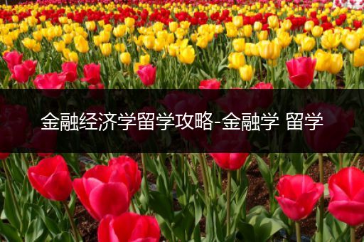 金融经济学留学攻略-金融学 留学
