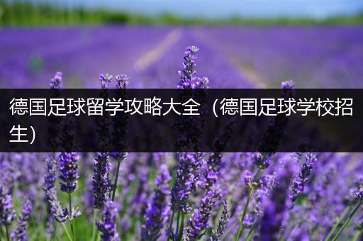 德国足球留学攻略大全（德国足球学校招生）