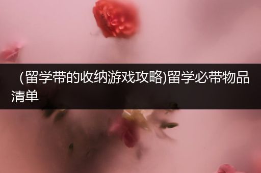 （留学带的收纳游戏攻略)留学必带物品清单