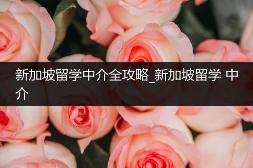 新加坡留学中介全攻略_新加坡留学 中介
