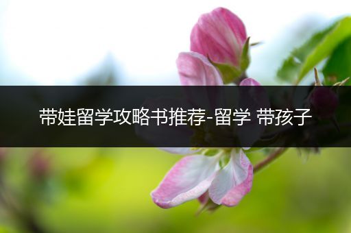 带娃留学攻略书推荐-留学 带孩子