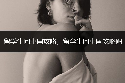 留学生回中国攻略，留学生回中国攻略图