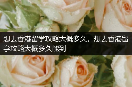 想去香港留学攻略大概多久，想去香港留学攻略大概多久能到