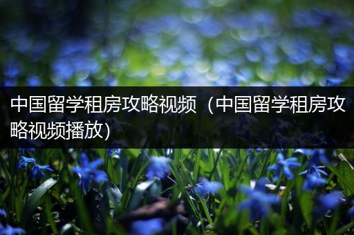 中国留学租房攻略视频（中国留学租房攻略视频播放）