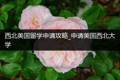 西北美国留学申请攻略_申请美国西北大学