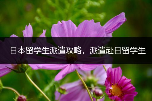 日本留学生派遣攻略，派遣赴日留学生