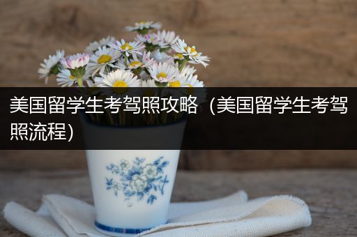 美国留学生考驾照攻略（美国留学生考驾照流程）
