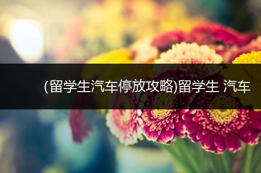 （留学生汽车停放攻略)留学生 汽车