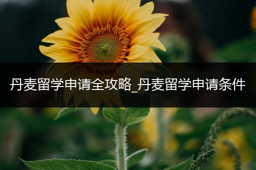 丹麦留学申请全攻略_丹麦留学申请条件
