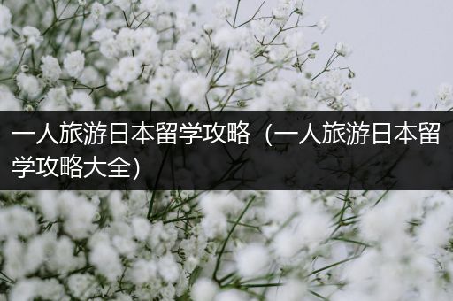 一人旅游日本留学攻略（一人旅游日本留学攻略大全）