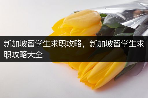 新加坡留学生求职攻略，新加坡留学生求职攻略大全
