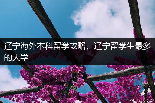 辽宁海外本科留学攻略，辽宁留学生最多的大学