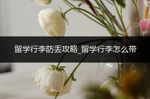 留学行李防丢攻略_留学行李怎么带