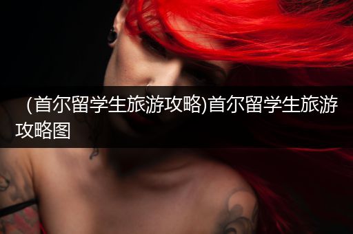 （首尔留学生旅游攻略)首尔留学生旅游攻略图