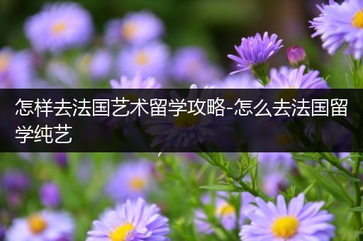 怎样去法国艺术留学攻略-怎么去法国留学纯艺