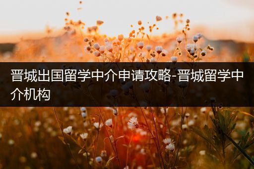 晋城出国留学中介申请攻略-晋城留学中介机构