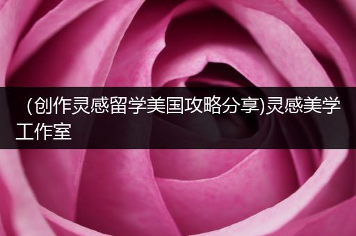 （创作灵感留学美国攻略分享)灵感美学工作室