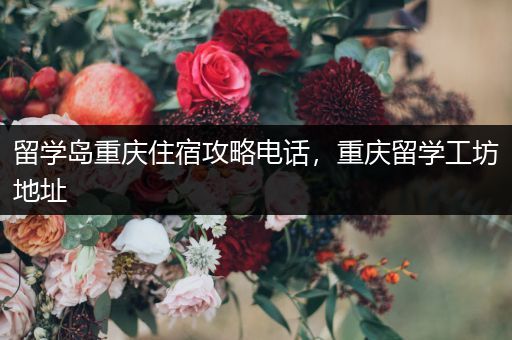 留学岛重庆住宿攻略电话，重庆留学工坊地址