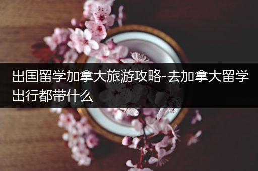 出国留学加拿大旅游攻略-去加拿大留学出行都带什么