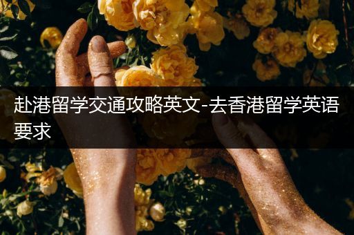赴港留学交通攻略英文-去香港留学英语要求