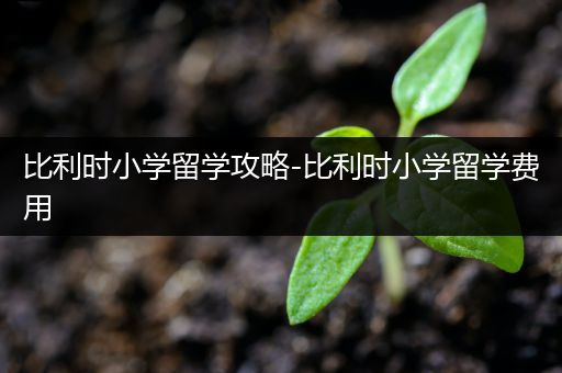 比利时小学留学攻略-比利时小学留学费用