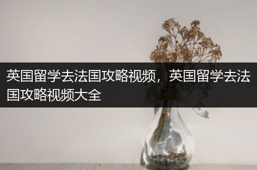 英国留学去法国攻略视频，英国留学去法国攻略视频大全